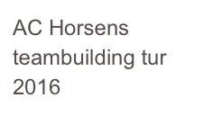AC Horsens teambuilding tur 2016